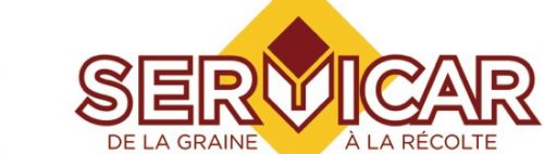 servicar_logo_couleur-500x142