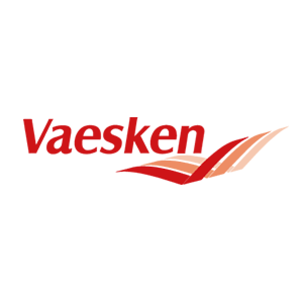 vaesken-logo
