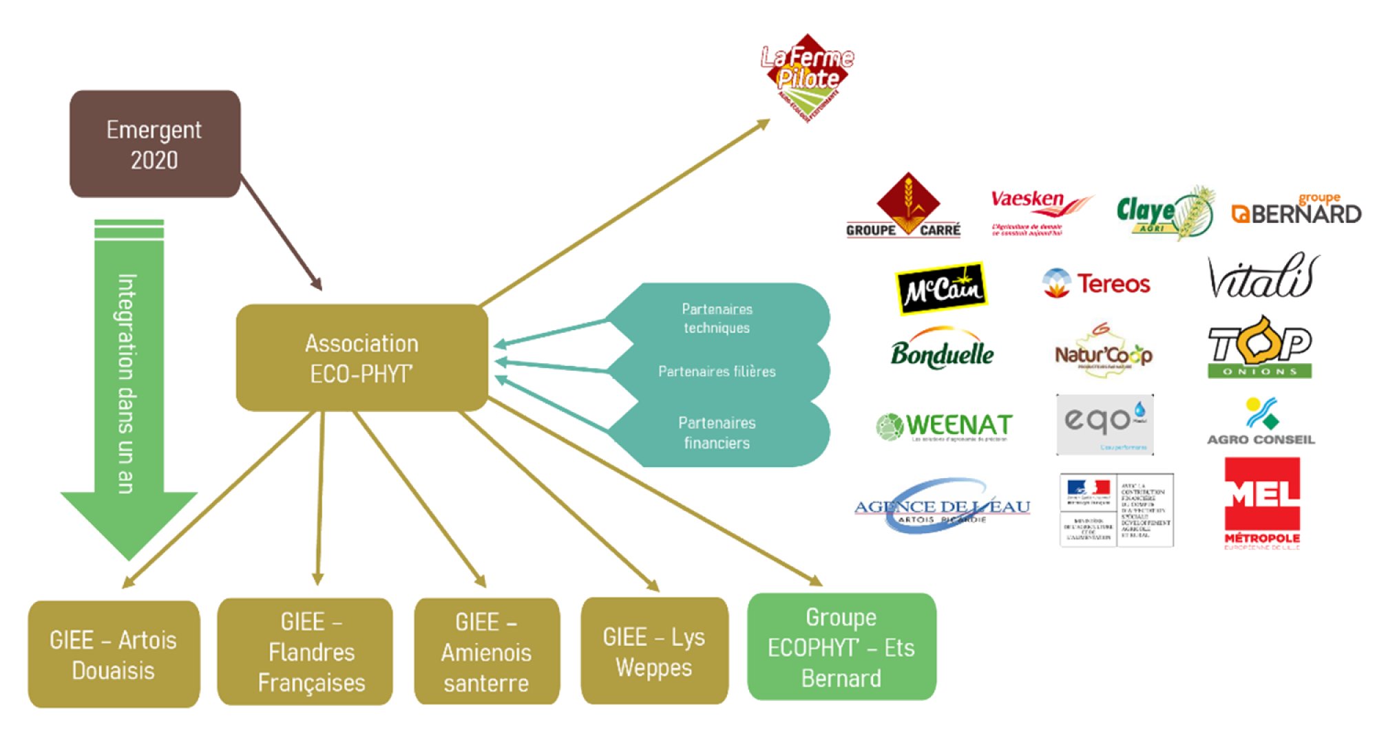 Schema d'organisation du collectif